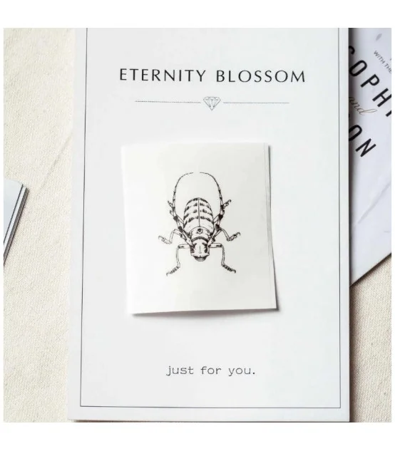 Giấy in nhiệt màu trắng cho T02, 53mm X 6.5m, KT-RM10, không keo | AIMO Việt Nam