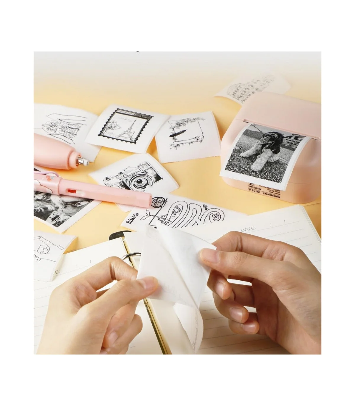 Giấy in nhiệt màu trắng cho T02, 53mm X 6.5m, KT-RM10, không keo | AIMO Việt Nam